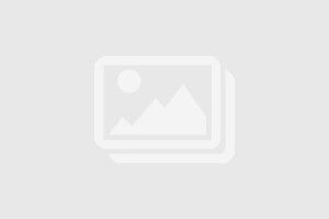 Gildan GN960 - Felpa con cappuccio da uomo con zip grande