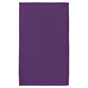 Proact PA574 - Asciugamano sport in microfibra Purple